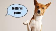 Frases argentinas: de dónde proviene y qué significa“meter el perro“”