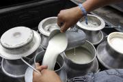 Productores de leche de San Lorenzo protestan en Tarija exigiendo pago atrasado de EBA