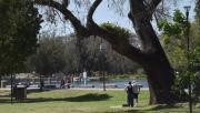 El tiempo en Tucumán: mucho sol para cerrar un fin de semana cálido y primaveral