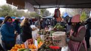 El Concejo Deliberante propone ferias itinerantes en los barrios para contener a los vendedores ambulantes