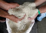 Ministro inicia auditoria y activa proceso por la compra de arroz de presunta mala calidad