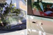 Atacó a chofer de Uber, le arrojó cascotes y dañó parabrisas y una puerta del rodado
