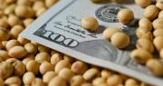 El gremialista al que más temen las cerealeras fue lapidario con la vuelta de las retenciones: Algo sabían