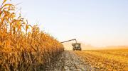 Retenciones: expectativa por la reunión entre el campo y Agricultura tras el fugaz beneficio a exportadores