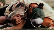 Dolor en la Fórmula 1: murió Roscoe, el perro de Lewis Hamilton y el piloto lo despidió con un emotivo mensaje en redes