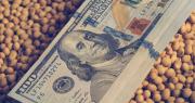 Dólar: los escenarios que se abren tras la liquidación del agro, ¿qué se espera hasta octubre?