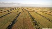 El lado invisible del campo: Externalidades agrícolas en Bolivia y el reto de construir un modelo sostenible