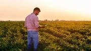Suspensión temporal de las retenciones: “No iba a llegar al productor agropecuario directamente”