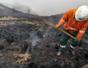 Bolivia registra el nivel más bajo de incendios forestales en 20 años