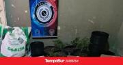 Cámara Federal revocó el sobreseimiento de una empresa acusada de cultivar plantas de cannabis