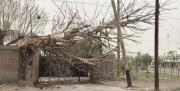 Alerta por viento y ráfagas de hasta 90 km/h en tres provincias de la Patagonia este lunes