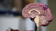 Servicio Público: Elvia Bastardo necesita ayuda económica para enfretar lesión cerebral