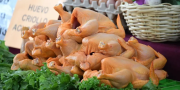 Avícolas de Tarija alertan que por alza del maíz advierten posible incremento en el precio del pollo