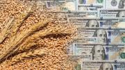 El dólar navega aguas turbulentas: crece la cobertura, vuelve el “puré” y las señales de alerta que emergen de la brecha