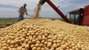 Una entidad del campo habló de “negociado” entre el Gobierno y las cerealeras