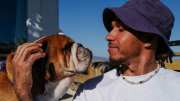 ¿Por qué Roscoe se convirtió en leyenda?: Lewis Hamilton se despide de su fiel amigo