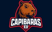 Capibaras XV. franquicia del Súper Rugby Américas