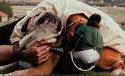 El sentido mensaje de Lewis Hamilton por la muerte de su perro