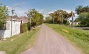 ¿Escapó o la robaron? El drama por una perra