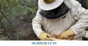 San Juan intenta promover la cría de abejas reinas y la producción de mieles certificadas