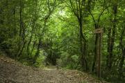 Senderismo fácil en Galicia: la Ruta Forno do Bolo en otoño