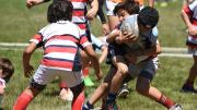 Marista Rugby Club sigue de fiesta: el Encuentro Infantil Máximo Navesi celebra su 50 aniversario