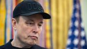 Elon Musk creará la Grokipedia para competir con Wikipedia: prometió que será “libre de propaganda mediática”