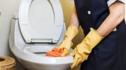El truco que es tendencia para eliminar el sarro de los inodoros, según los especialistas
