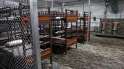 “Nos trataban como criminales”: joven venezolano narra la pesadilla que vivió tras ser detenido arbitrariamente en “Alligator Alcatraz”