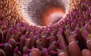 Microbiota, vegetarianismo y dietas restrictivas: mitos y verdades de la alimentación infantil