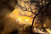Un incendio descontrolado de pastizales dejó a un vecino con graves quemaduras