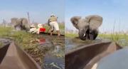 Terror en un safari: Turistas estuvieron a punto de morir tras el ataque de un elefante, todo quedó grabado