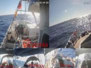 Italia: cientos de estudiantes toman universidades y prometen medidas si tocan la flotilla a Gaza