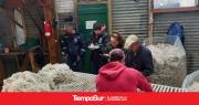 Operativos de fiscalización durante la temporada de esquila