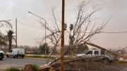 Fin de semana de alerta en Mendoza: qué día bajaría el viento zonda