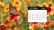 Pronóstico del tiempo: cómo estará la primera quincena de octubre en la provincia de Mendoza