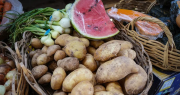 En una semana con muchos aumentos, el precio de una fruta subió $4.000 en la Feria de Capital