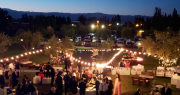 Organizadores y dueños de salones de eventos avanzan con Seguridad para ponerle un freno a las “fiestas clandestinas”