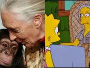 Murió Jane Goodall: el día que “la mujer de los chimpancés” apareció en Los Simpsons