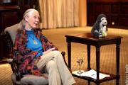 Murió Jane Goodall, la reconocida primatóloga británica con compromiso alrededor del mundo