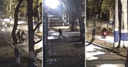 El video del momento en el que vandalizaron el mural de Diego Maradona en el Bosque