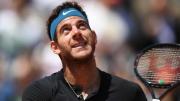 Juan Martín del Potro, nominado para ingresar al Salón de la Fama del tenis: contra quiénes compite