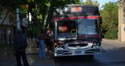 Quiénes son los dueños del transporte público en San Juan: los nombres y las curiosidades
