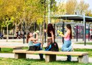 Jueves con viento y máximas de 30°C en el Alto Valle: el pronóstico del Servicio Meteorológico Nacional