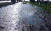 Chivilcoy y otros distritos fueron incluidos en la emergencia agropecuaria nacional