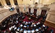 El Senado trata presupuesto de universidades y Garrahan en medio de movilizaciones