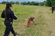 Con la ayuda de perros rastreadores, rescataron a una joven desaparecida en Lules