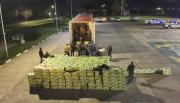 Bananas con sorpresa: Detectaron 444 kilos de cocaína camuflados en un camión