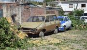 Villa Luján: Denuncias desoídas, autos aplastados tras la caída de un árbol