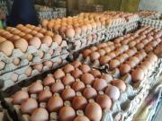 Boom de consumo de huevos en Argentina: se transformó en el segundo alimento más importante en la dieta y avanzan en un nuevo envase